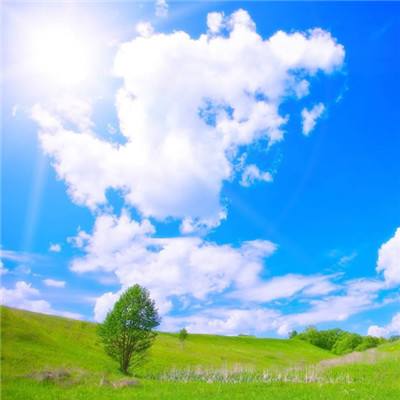 霸王绝单职业手游(暂未上线)v1.0 安卓版